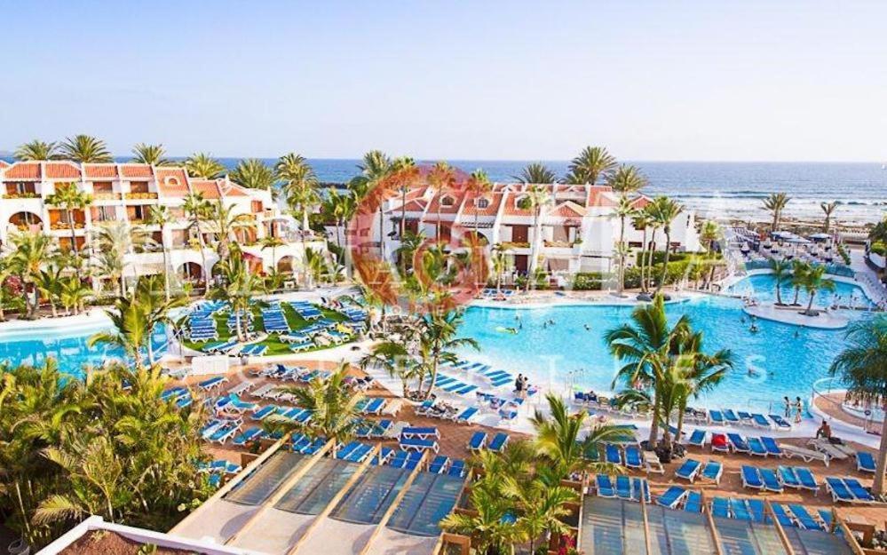 3 Santiago Playa Tenerife Estudio Playa de las Americas (Tenerife) Exterior photo